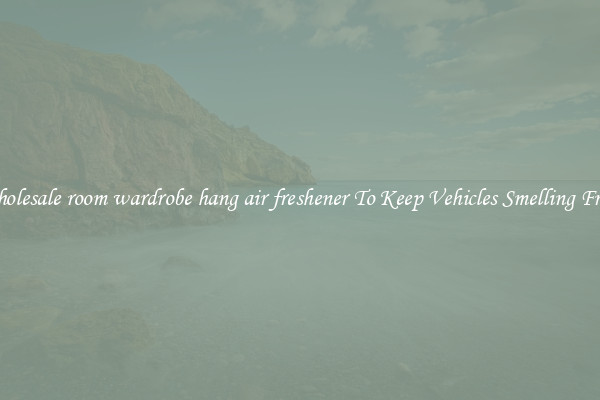 Wholesale room wardrobe hang air freshener To Keep Vehicles Smelling Fresh