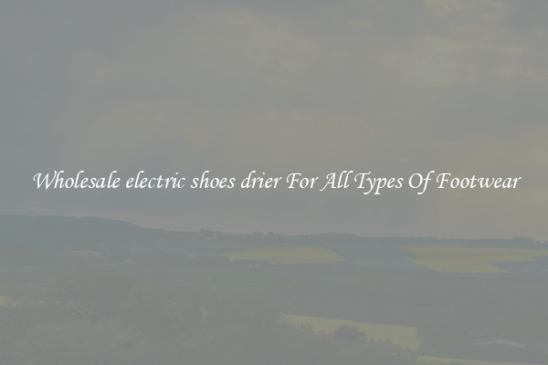 Wholesale electric shoes drier For All Types Of Footwear