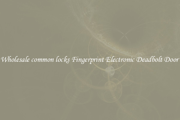 Wholesale common locks Fingerprint Electronic Deadbolt Door 