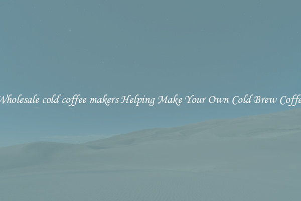 Wholesale cold coffee makers Helping Make Your Own Cold Brew Coffee