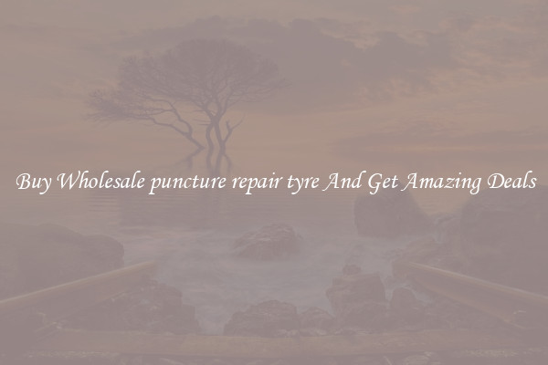 Buy Wholesale puncture repair tyre And Get Amazing Deals