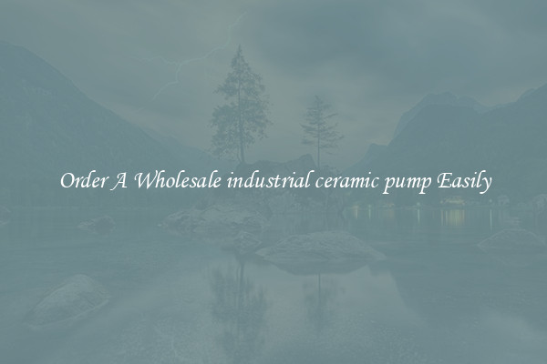 Order A Wholesale industrial ceramic pump Easily