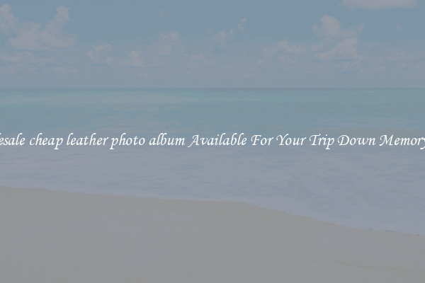 Wholesale cheap leather photo album Available For Your Trip Down Memory Lane