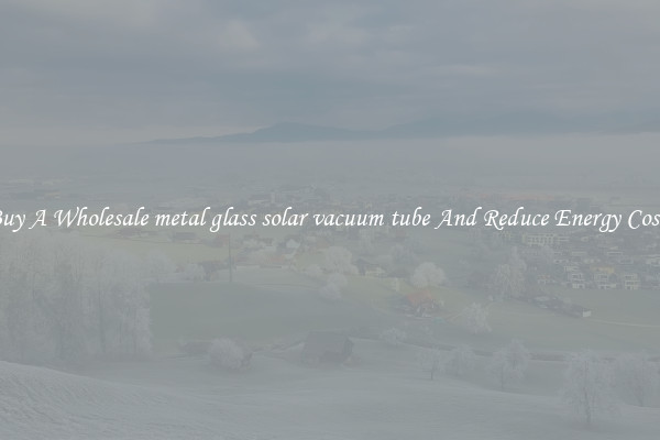 Buy A Wholesale metal glass solar vacuum tube And Reduce Energy Costs