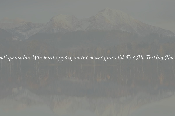 Indispensable Wholesale pyrex water meter glass lid For All Testing Needs