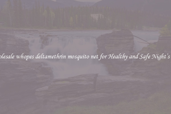 Wholesale whopes deltamethrin mosquito net for Healthy and Safe Night’s Rest