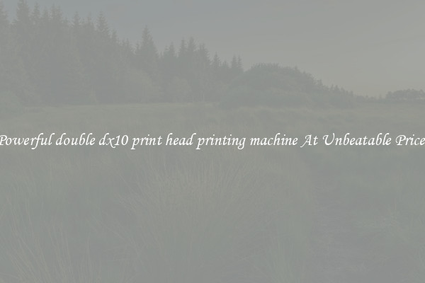 Powerful double dx10 print head printing machine At Unbeatable Prices