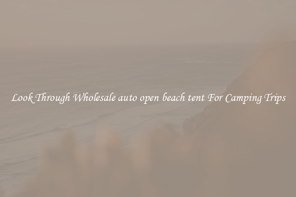 Look Through Wholesale auto open beach tent For Camping Trips