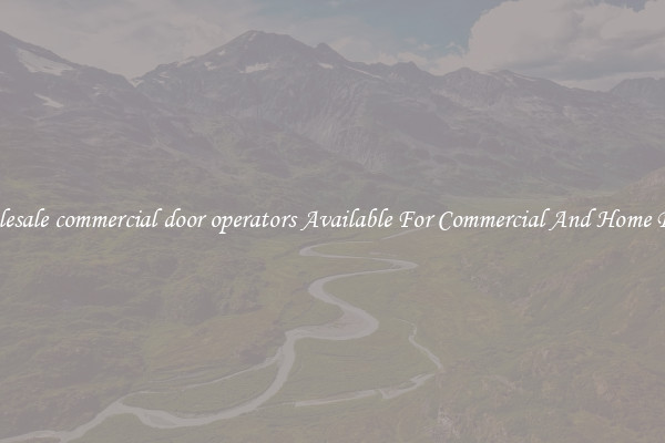 Wholesale commercial door operators Available For Commercial And Home Doors