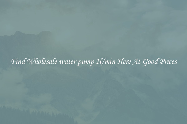 Find Wholesale water pump 1l/min Here At Good Prices