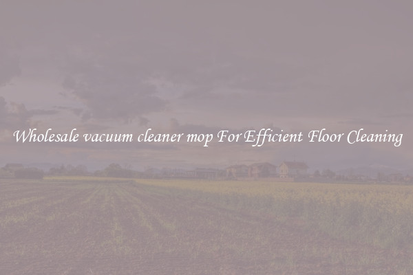 Wholesale vacuum cleaner mop For Efficient Floor Cleaning