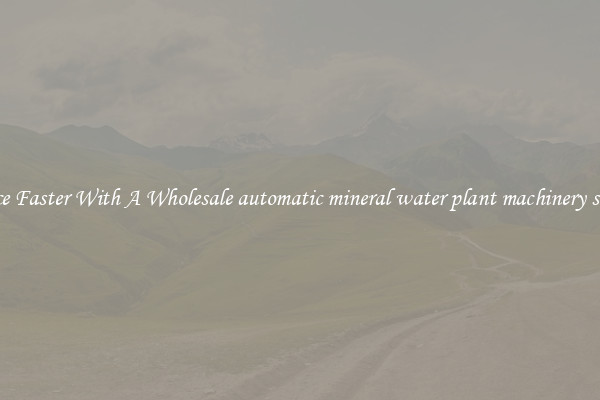Produce Faster With A Wholesale automatic mineral water plant machinery supplier