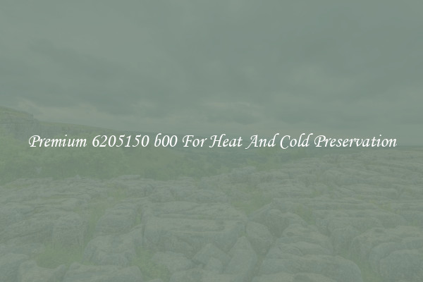 Premium 6205150 b00 For Heat And Cold Preservation