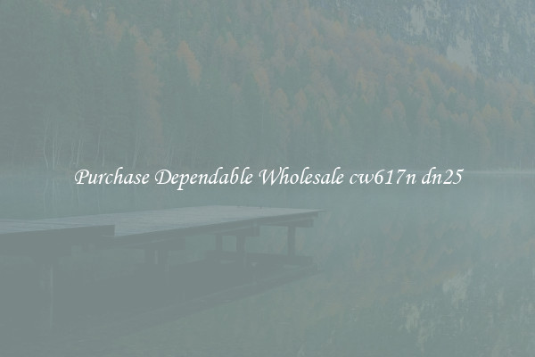 Purchase Dependable Wholesale cw617n dn25