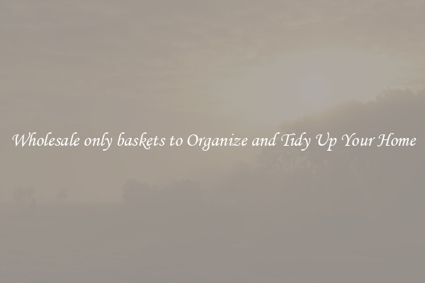 Wholesale only baskets to Organize and Tidy Up Your Home