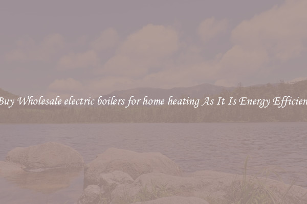 Buy Wholesale electric boilers for home heating As It Is Energy Efficient