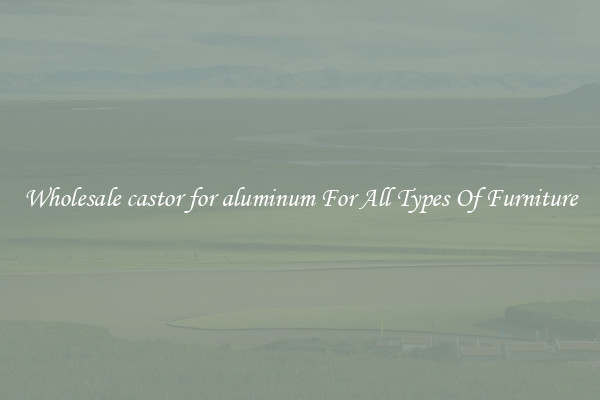 Wholesale castor for aluminum For All Types Of Furniture