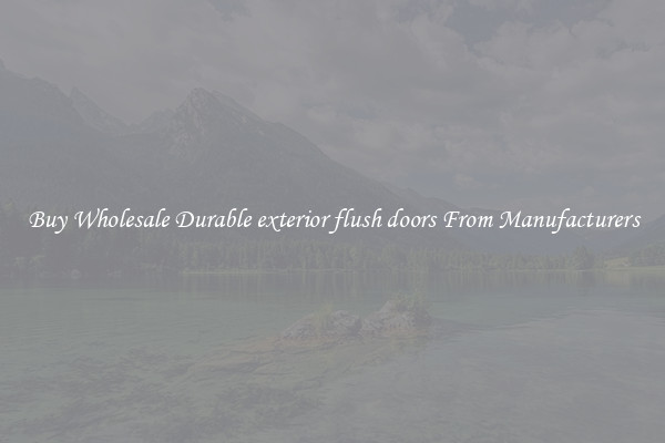 Buy Wholesale Durable exterior flush doors From Manufacturers