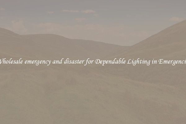 Wholesale emergency and disaster for Dependable Lighting in Emergencies