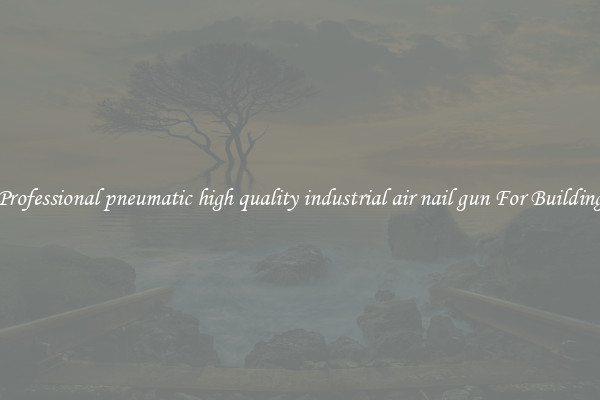 Professional pneumatic high quality industrial air nail gun For Building